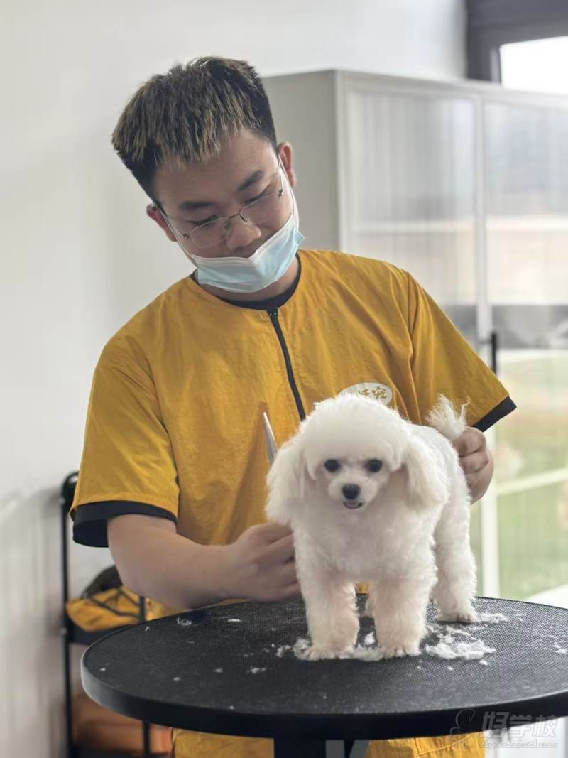 实操现场