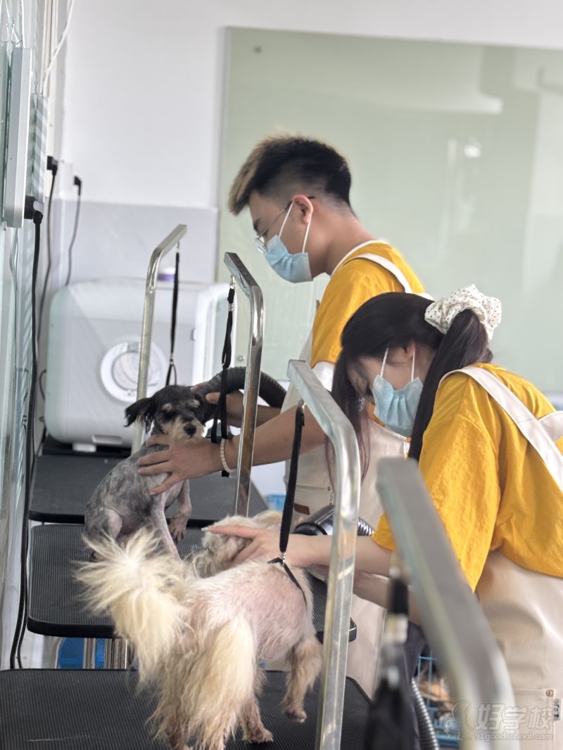 实操现场