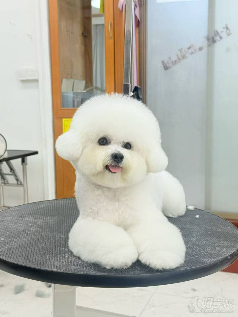 老师作品