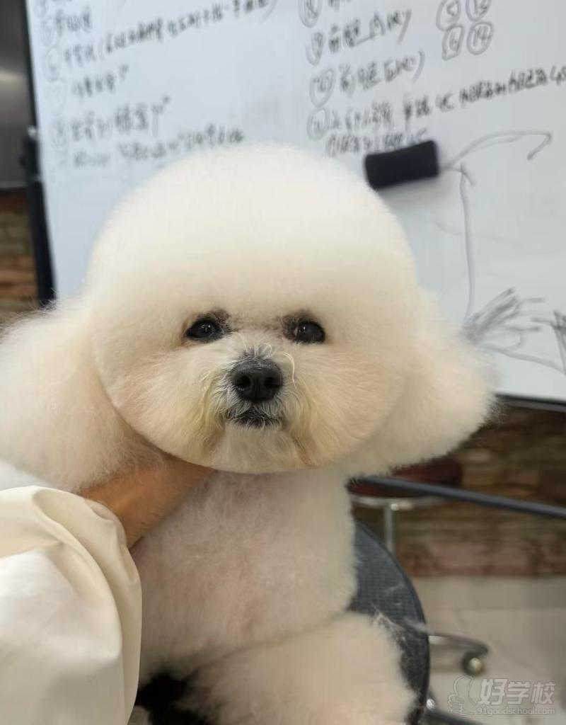 老师作品
