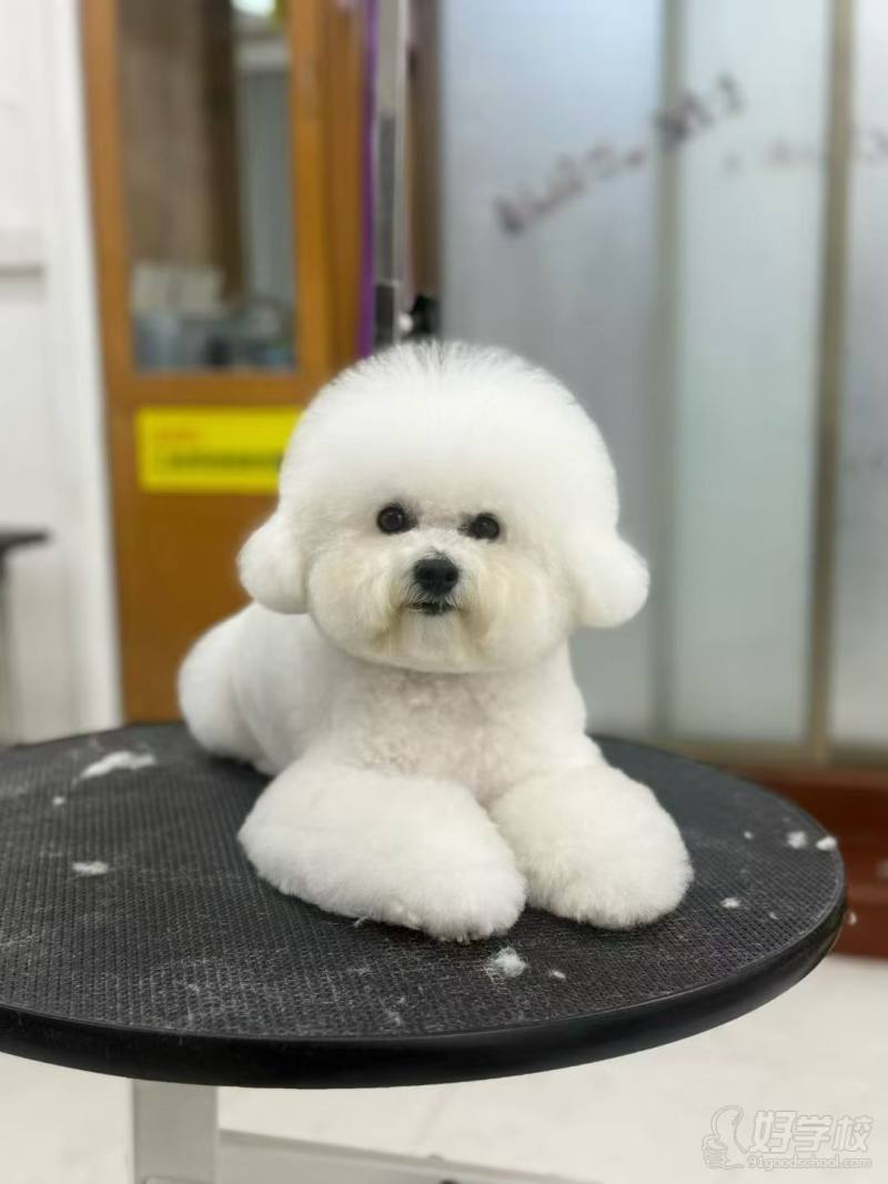 老师作品