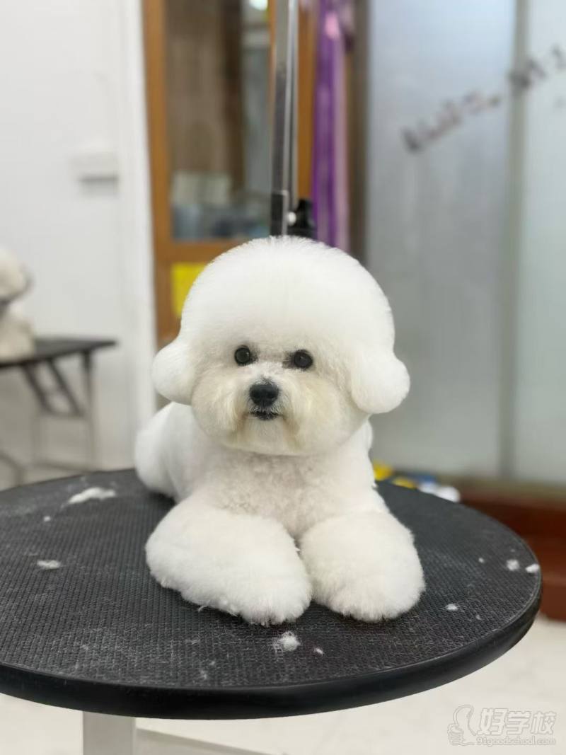 老师作品