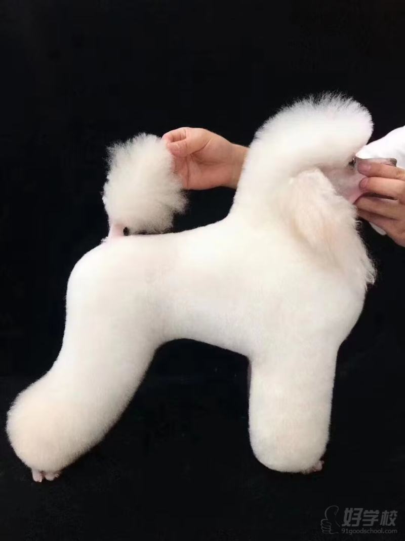 老师作品