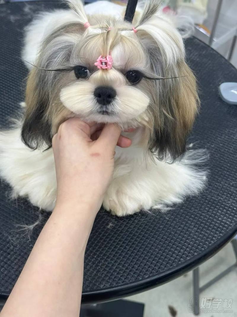 老师作品