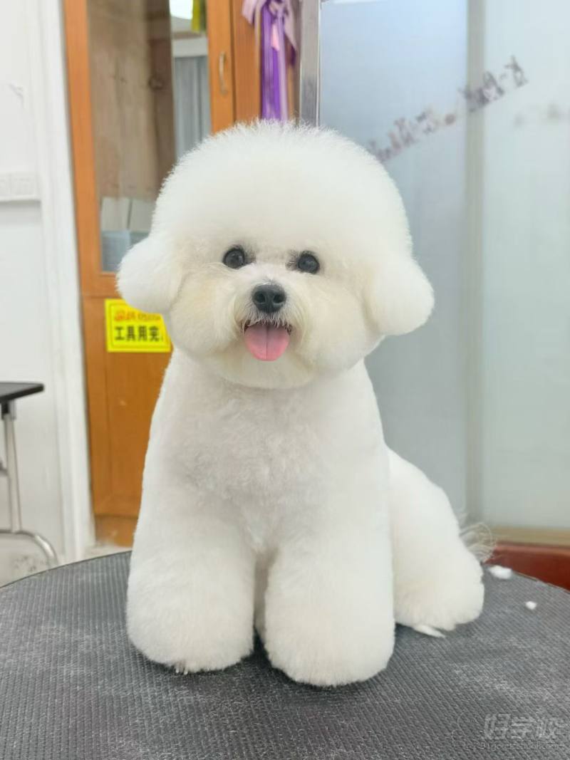 老师作品