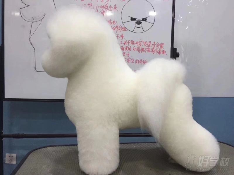 老师作品