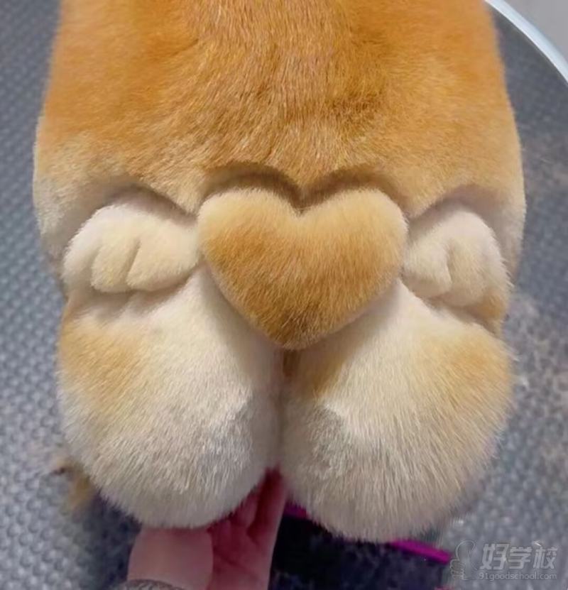 老师作品
