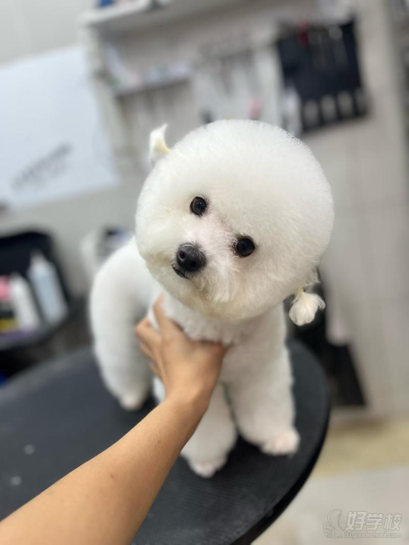 老师作品