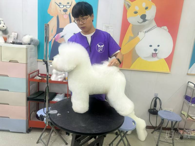 老师作品