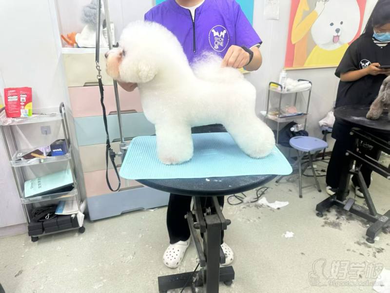 老师作品