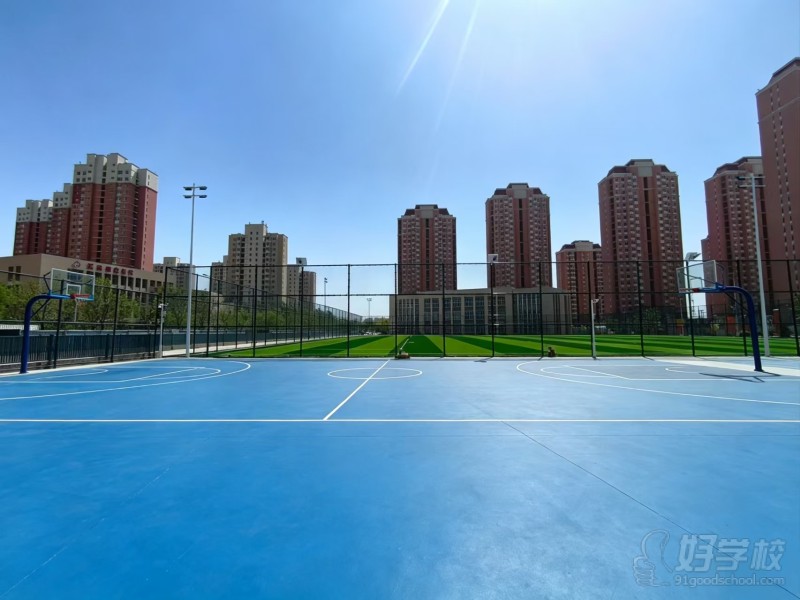篮球场+足球场
