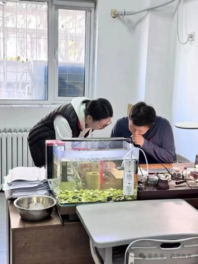 北辰校区 