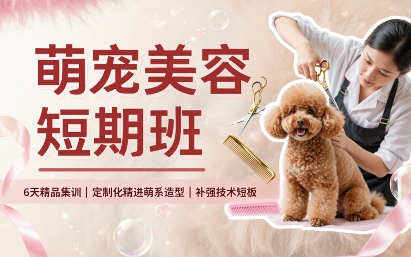 长沙宠物美容护理培训萌宠短期班