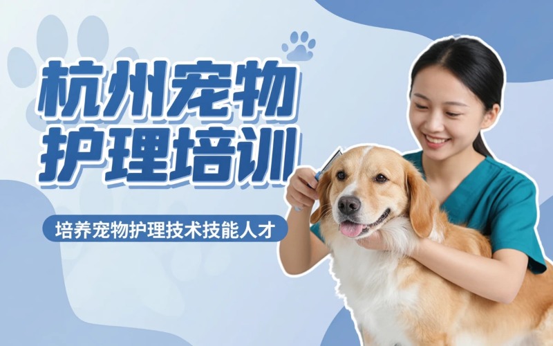 杭州宠物护理专业培训课程