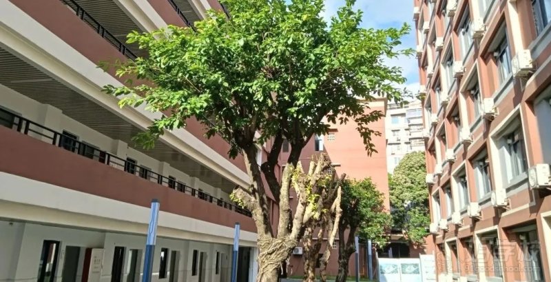 生活环境2