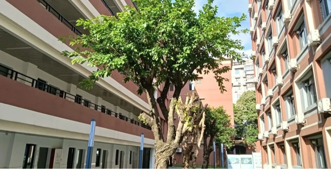 广州校区
