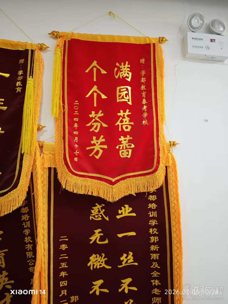 荣誉展示2