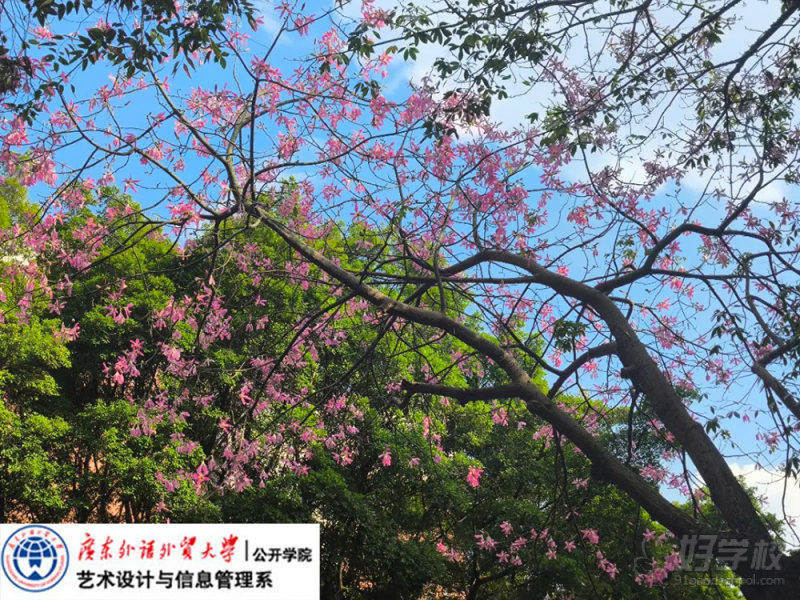 学校环境-(2)