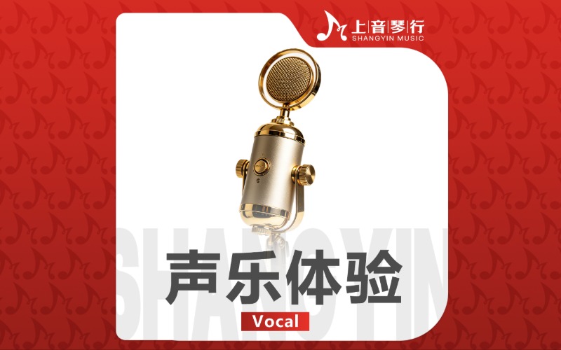 上海声乐儿童一对一体验课