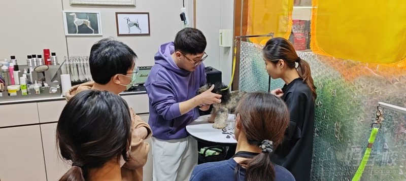 实操教学 1