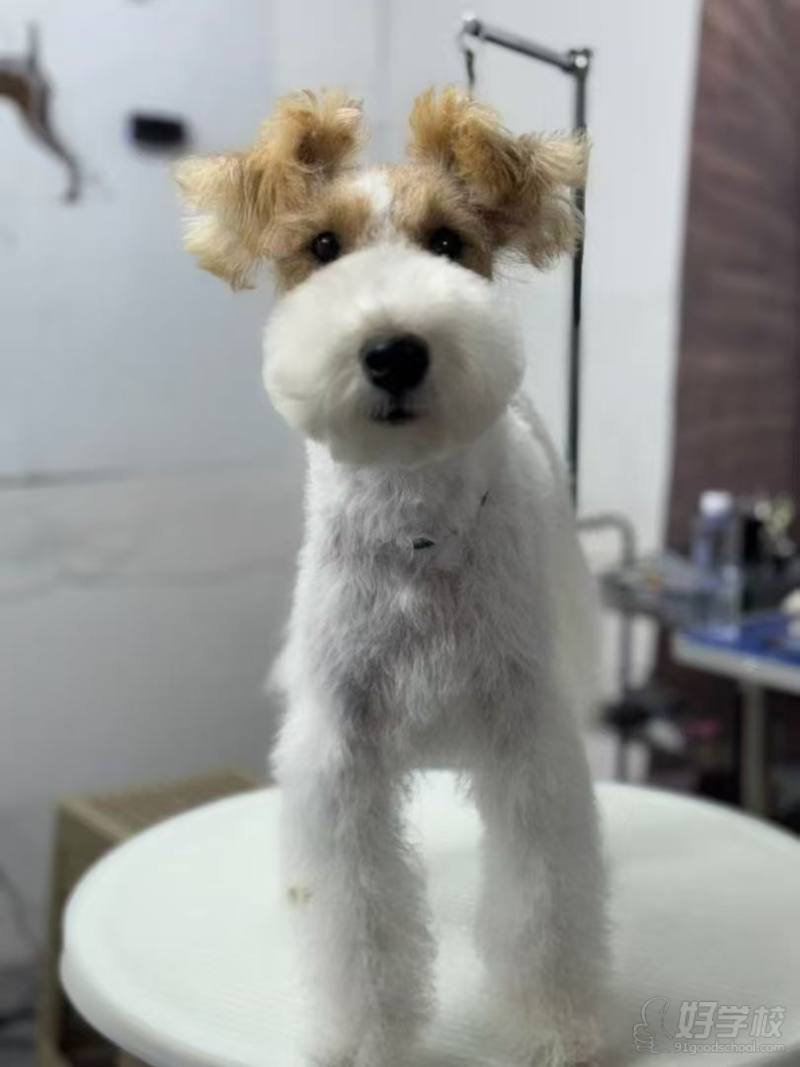 学员风采2