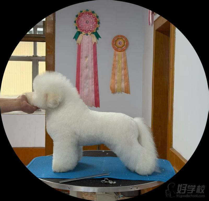 学员风采3