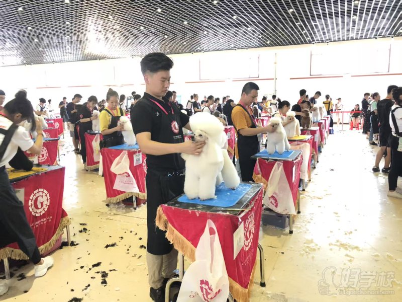 学员风采22