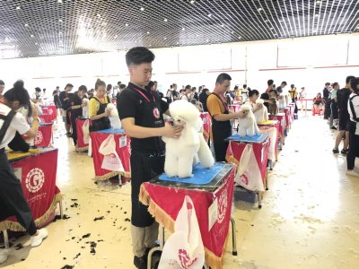 淄博校区