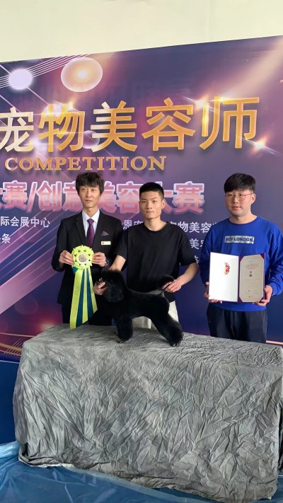淄博校区