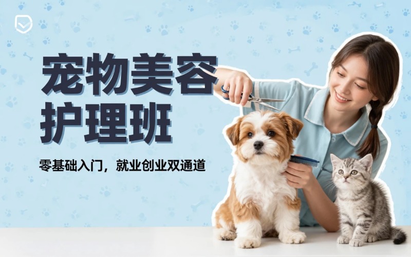 淄博专业宠物美容护理培训班