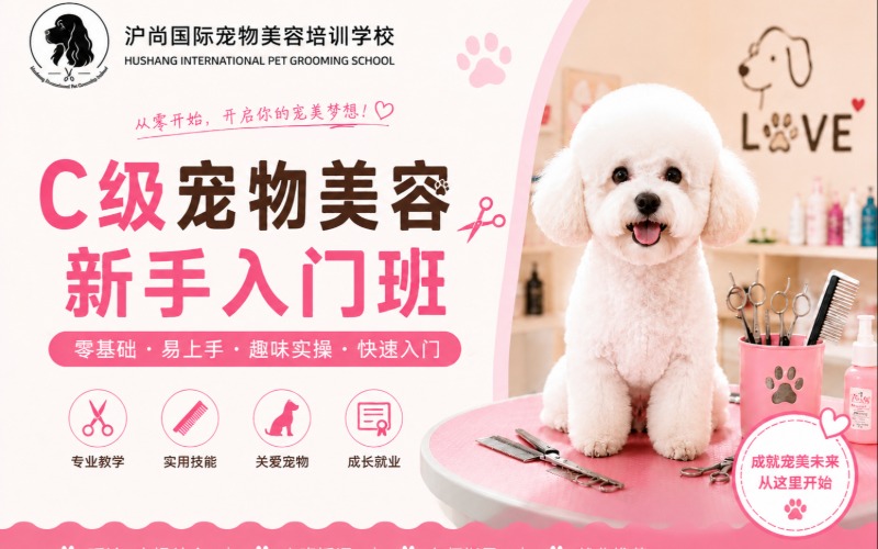 上海宠物美容培训C级宠物美容新手入门班课程