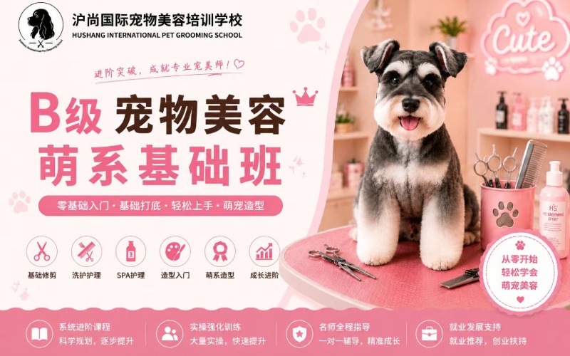 上海宠物美容培训B级宠物美容萌系基础班课程