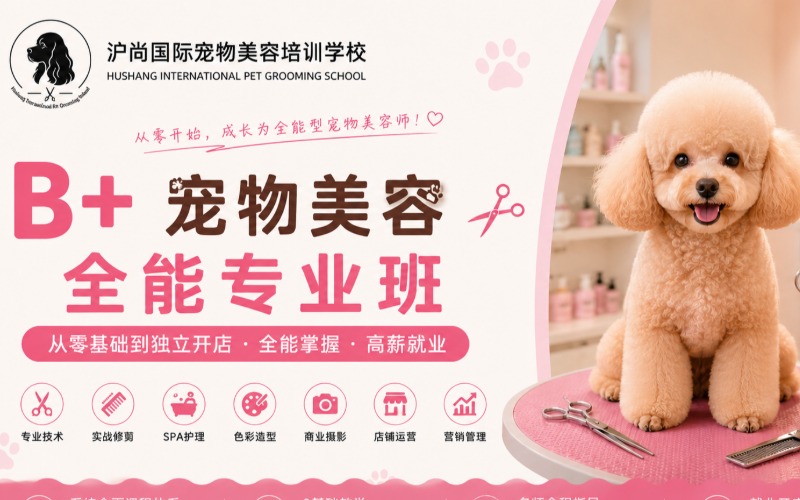 上海宠物美容培训B+全能专业班课程
