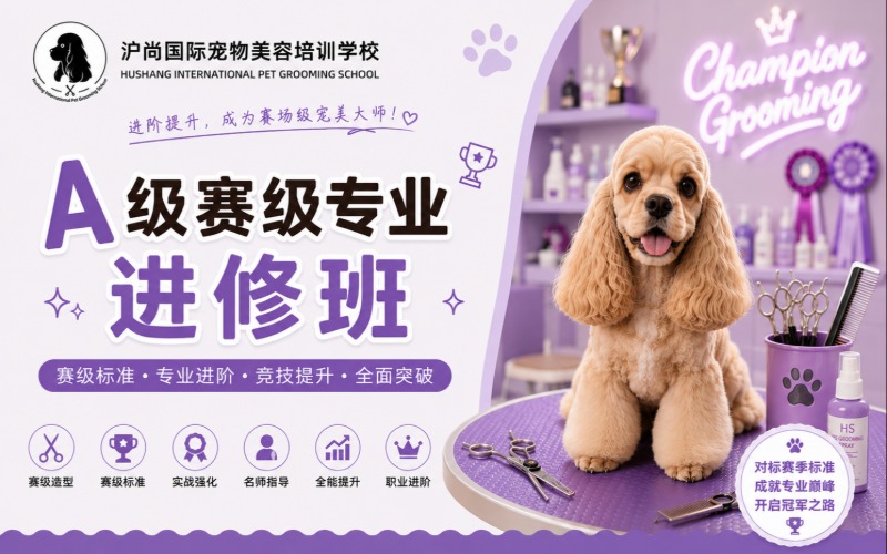 上海宠物美容培训A级赛级进修班课程