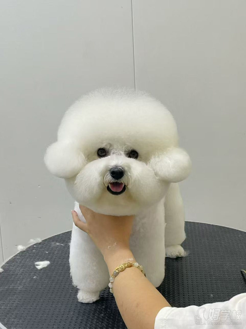 优秀作品-(1)