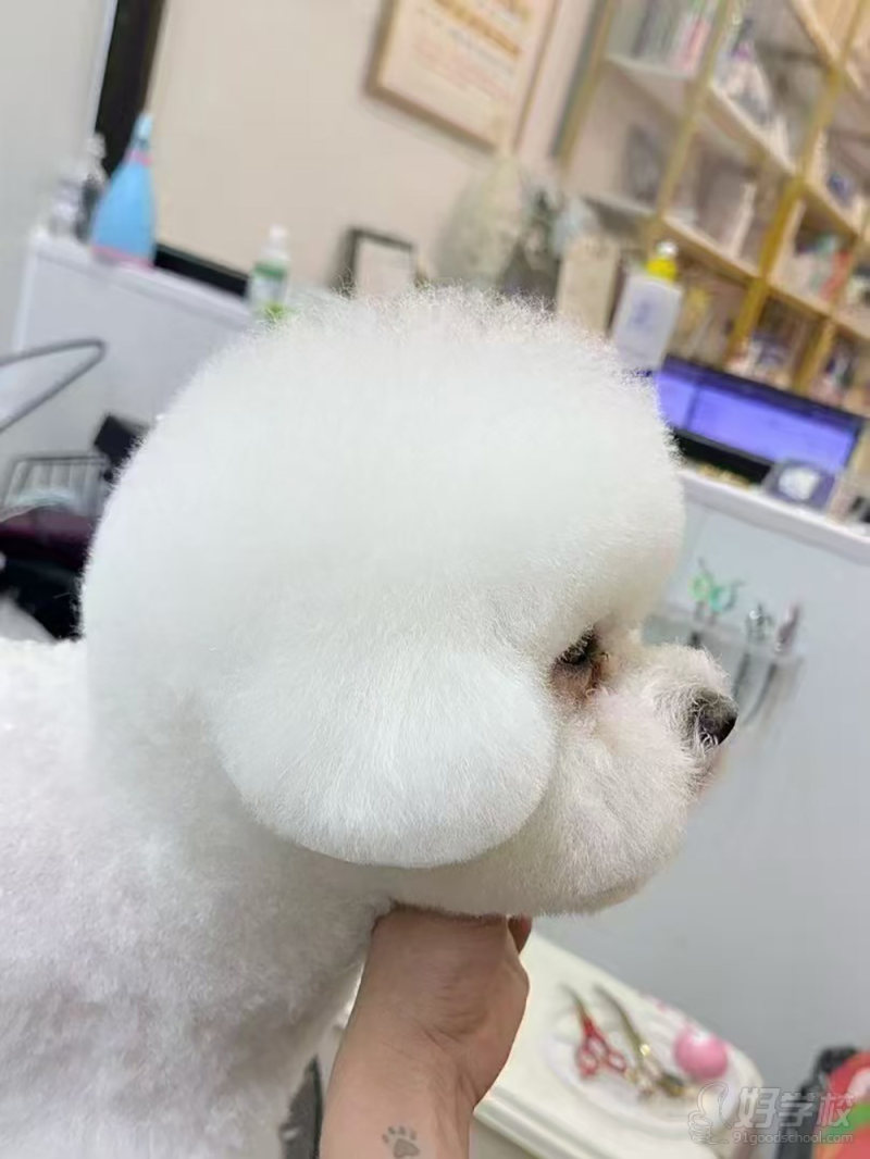 优秀作品-(23)