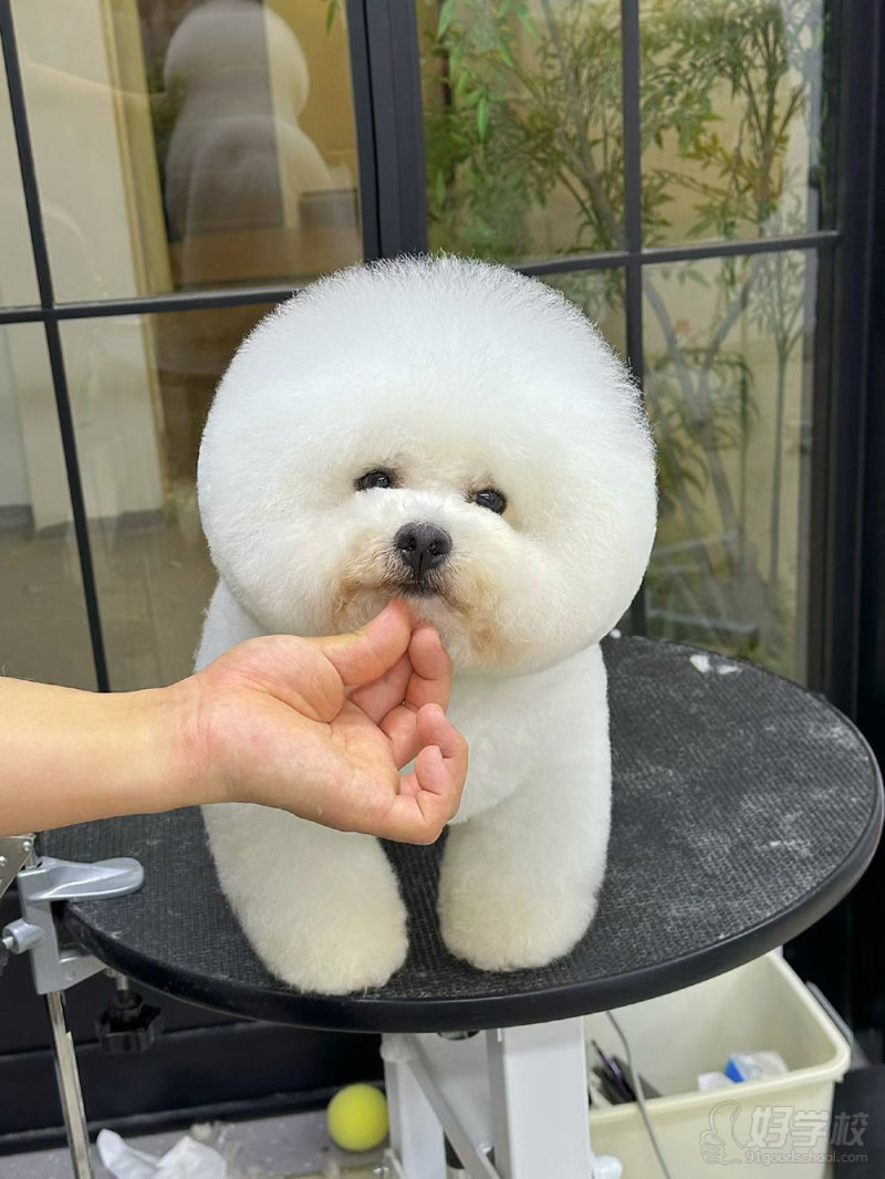 优秀作品-(10)