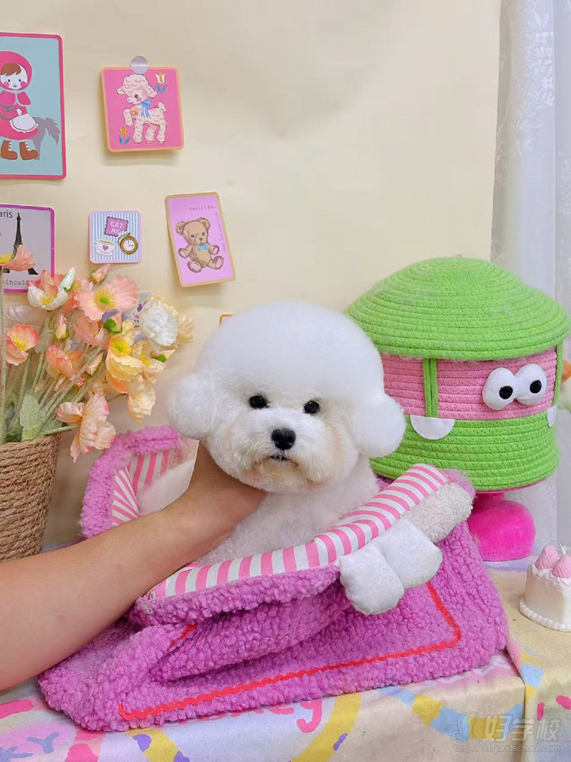 优秀作品-(17)