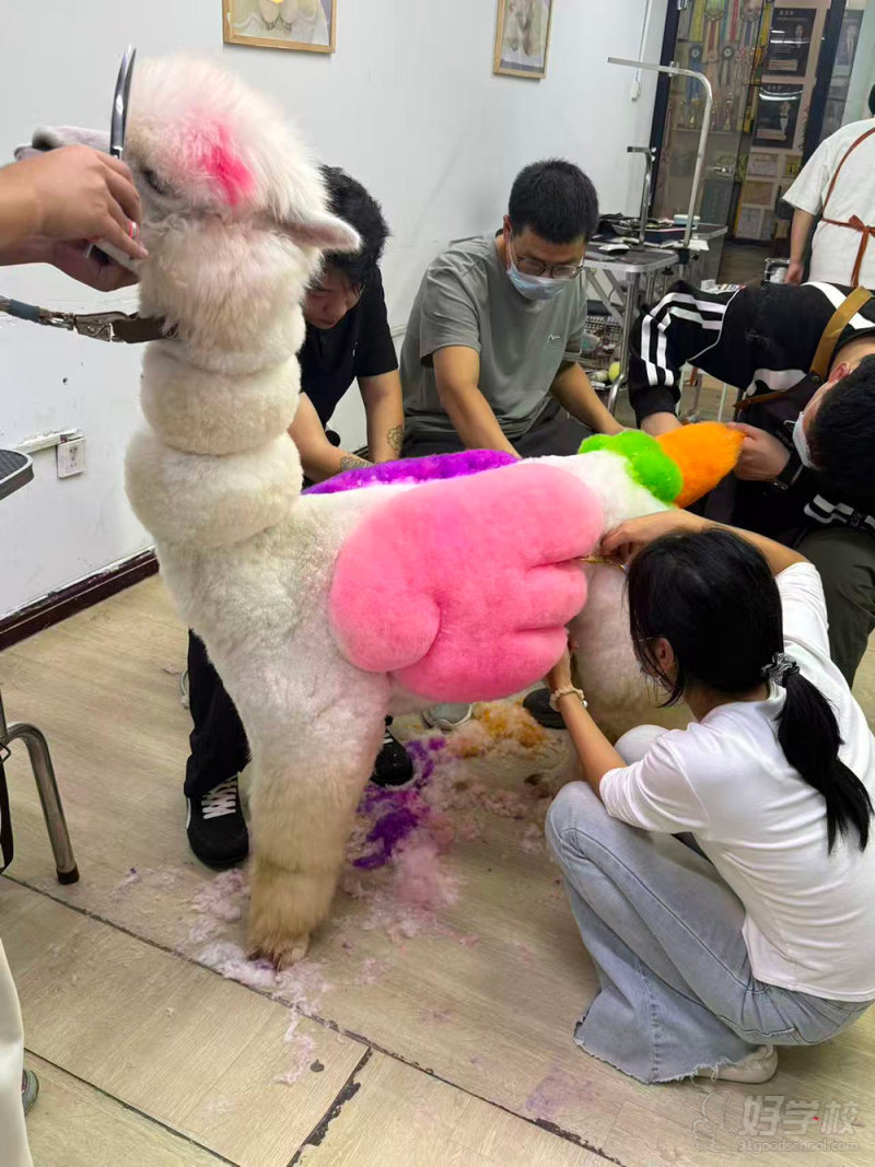 优秀作品-(25)