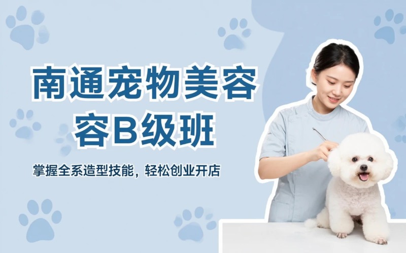 南通宠物美容B级培训班