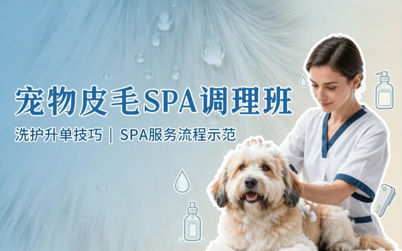 宠物皮毛调理SPA专项培训班