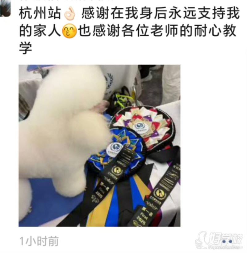 成功案例 (5)