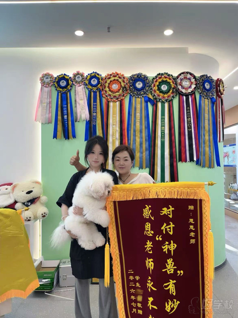 成功案例 (1)