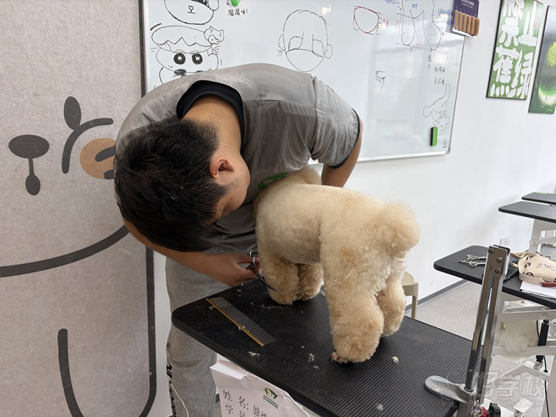 教学现场 (5)