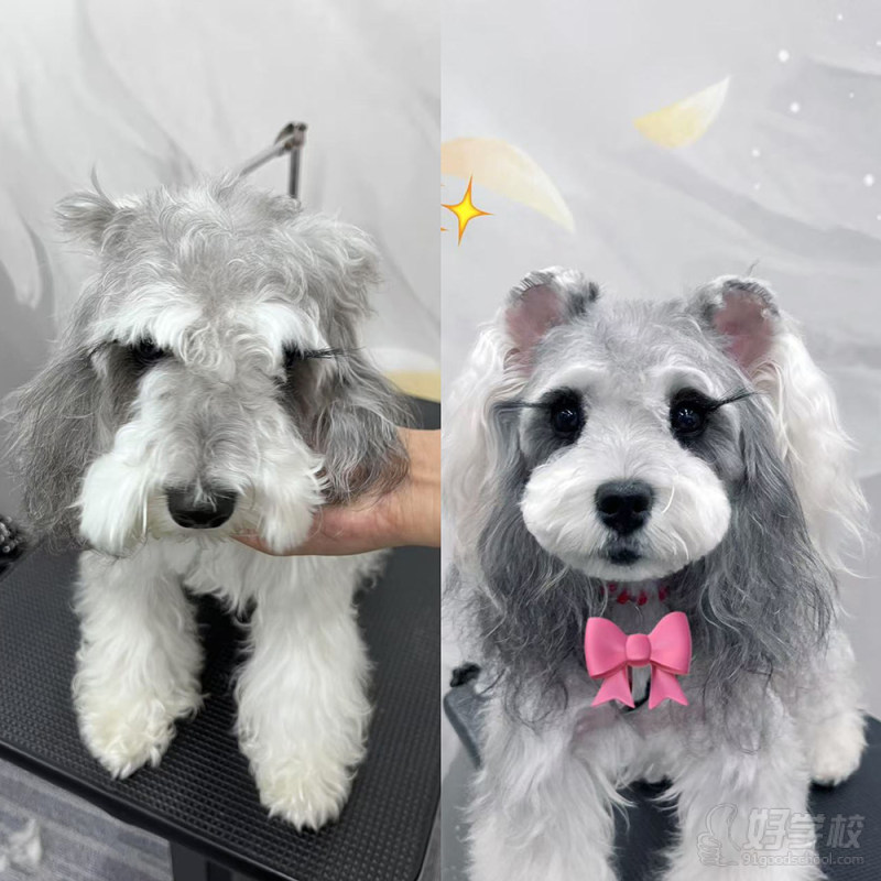 优秀作品 (3)