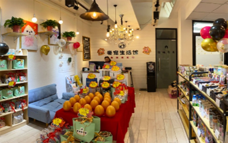 昆山宠物美容创业开店辅导课程
