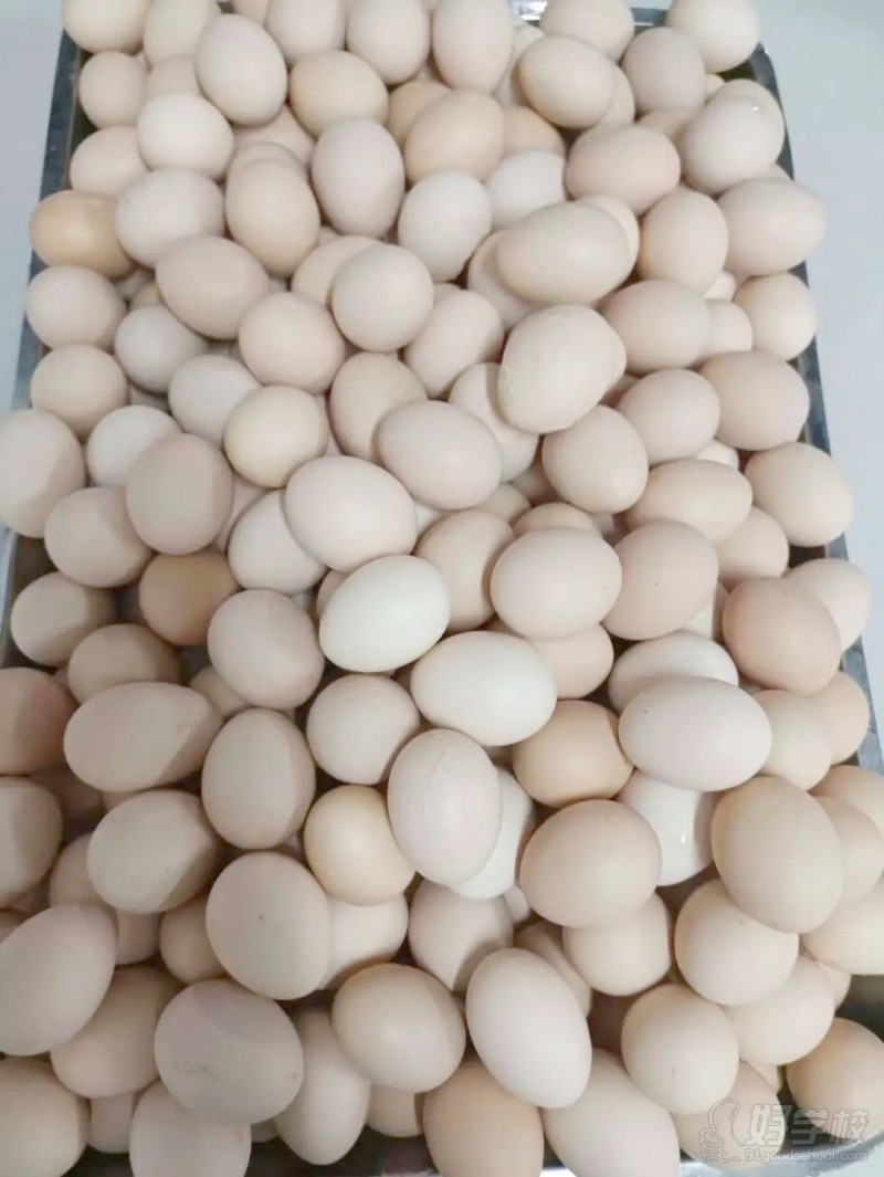 食堂图片5