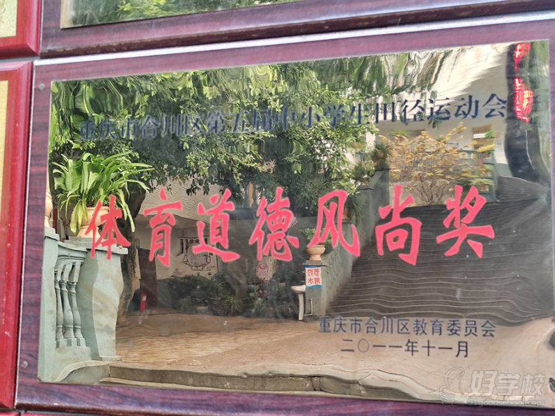 学校荣誉14