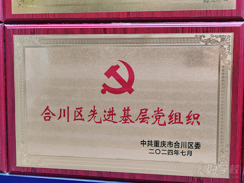 学校荣誉19