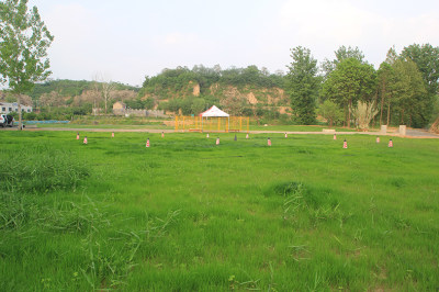 河南校区